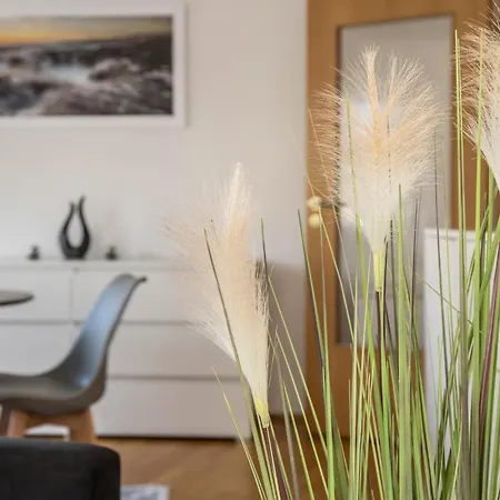 Apartament Am Salinensee Bad Dürrheim